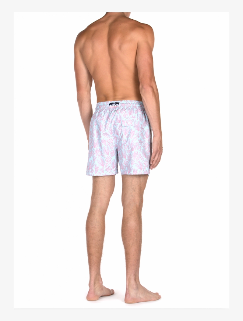In A Sky Blue And Soft Pink, This Print Draws Its Design - Trunks, transparent png #3545267
