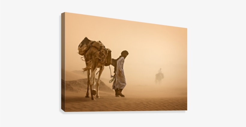 Sand Storm Canvas Print - Canvas On Demand Sand Storm Photographic Print, transparent png #3545628