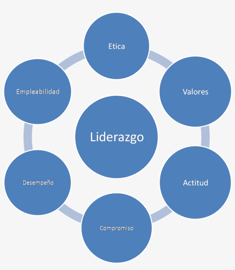 Modelo De Liderzgo - Process Of Talent Management, transparent png #3546102