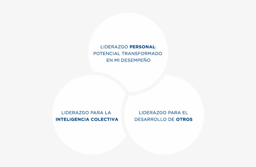 Grafico Fortalecimiento Liderazgo - Leadership, transparent png #3546256