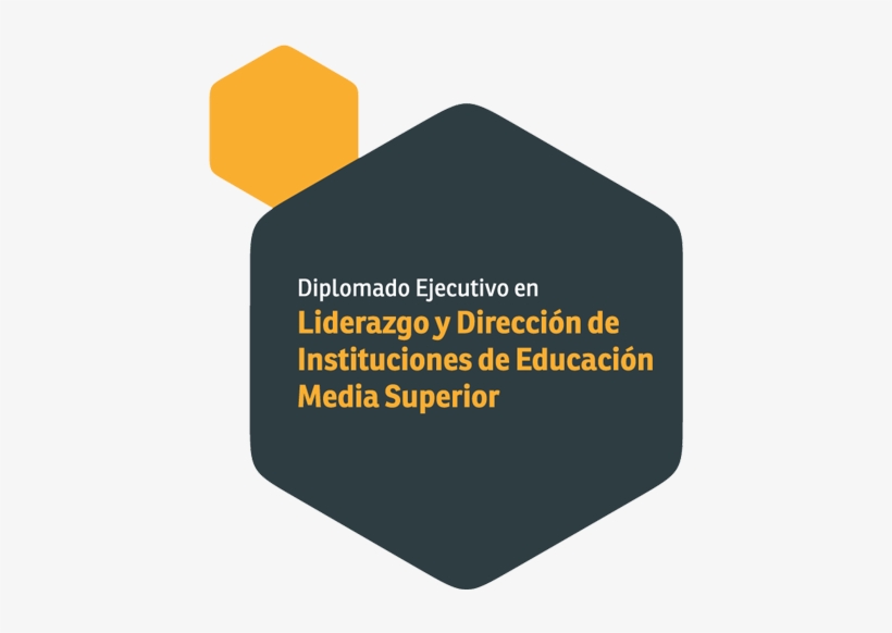 Diplomado Ejecutivo En Liderazgo Y Dirección De Instituciones - Instituto Europeo De Salud Y Bienestar Social, transparent png #3546411