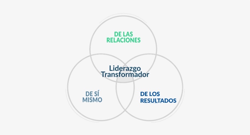 Liderazgo - Circle, transparent png #3546653
