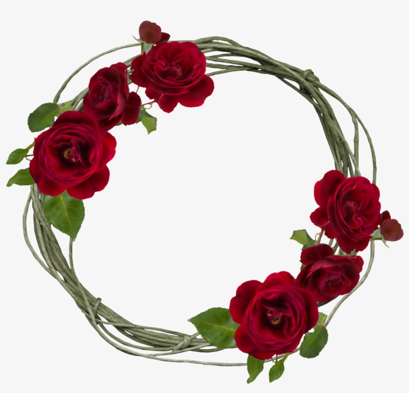 Moldura- - Garden Roses, transparent png #3546995