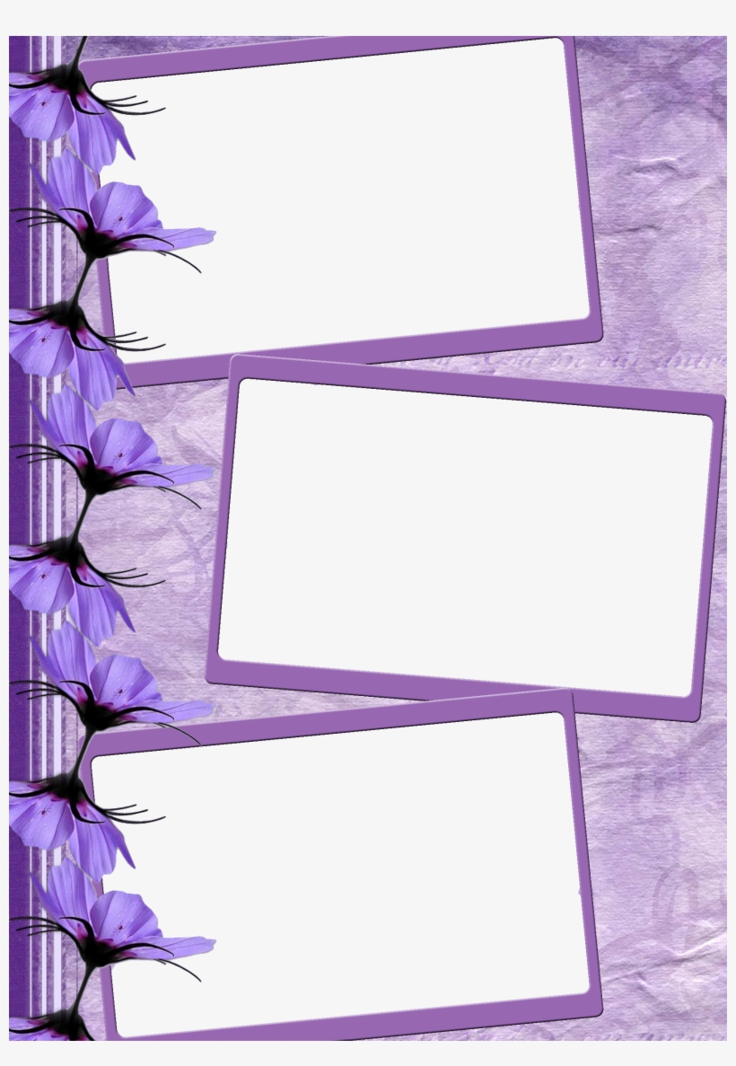 Image - Moldura Para Fotos Lilas Png, transparent png #3547071