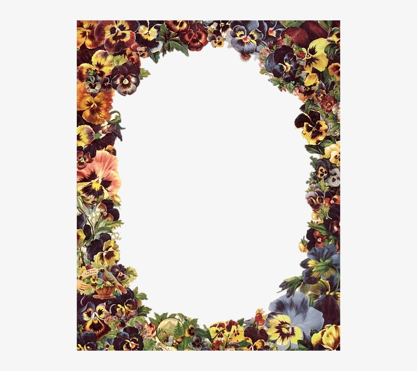 23 Jul 2010 - Picture Frame, transparent png #3547118