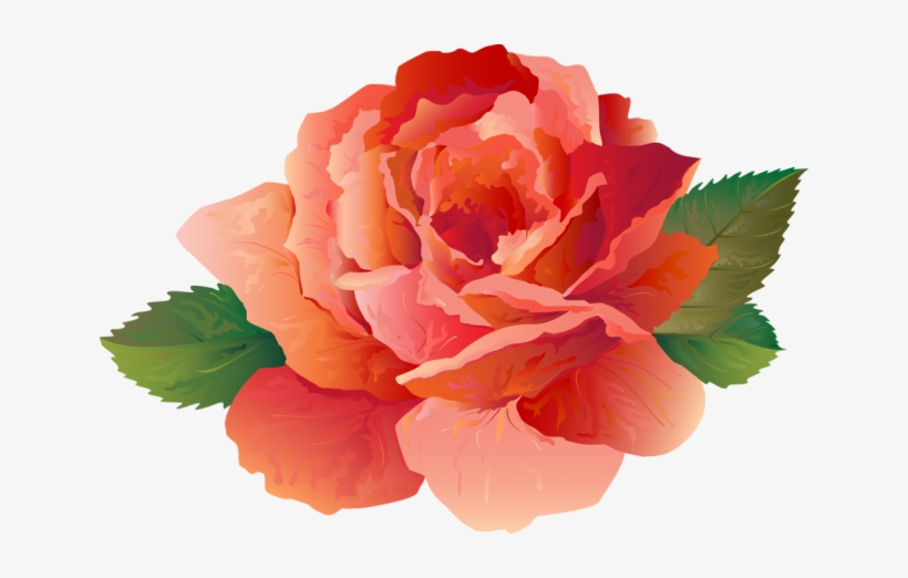 Peony Clipart Transparent - Clip Art, transparent png #3547201