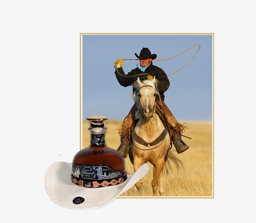Tetexano - Cowboy, transparent png #3547654