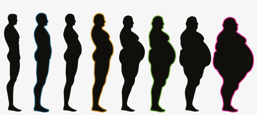 Tackling Obesity - 1 Million Chicken Nuggets, transparent png #3547755