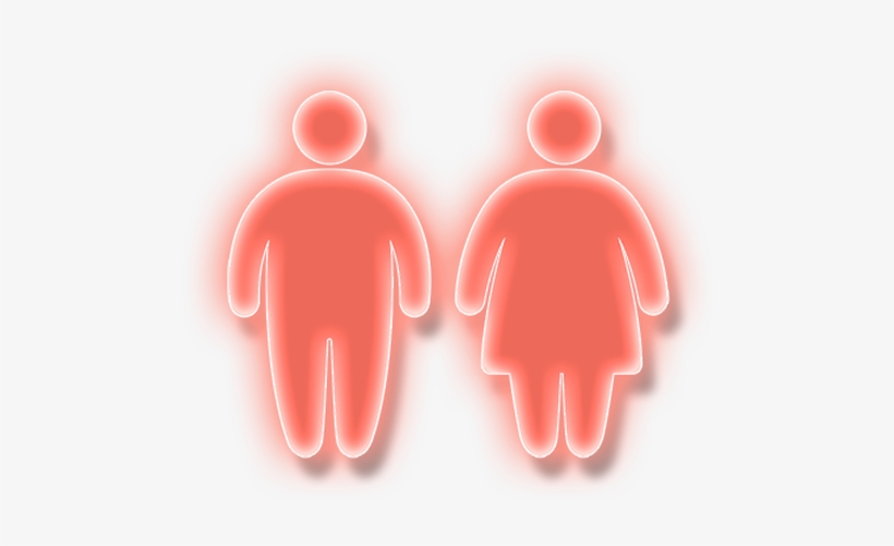 7 Billion Adults Worldwide Will Suffer From Overweight - World Obesity Day, transparent png #3548078
