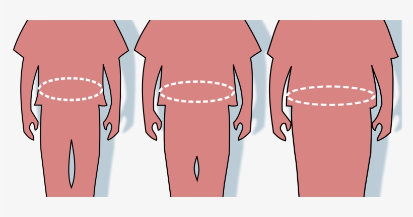 Overweight - Obesity Diagram, transparent png #3548213