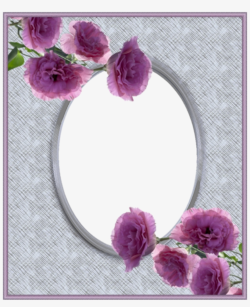Garden Roses, transparent png #3548232