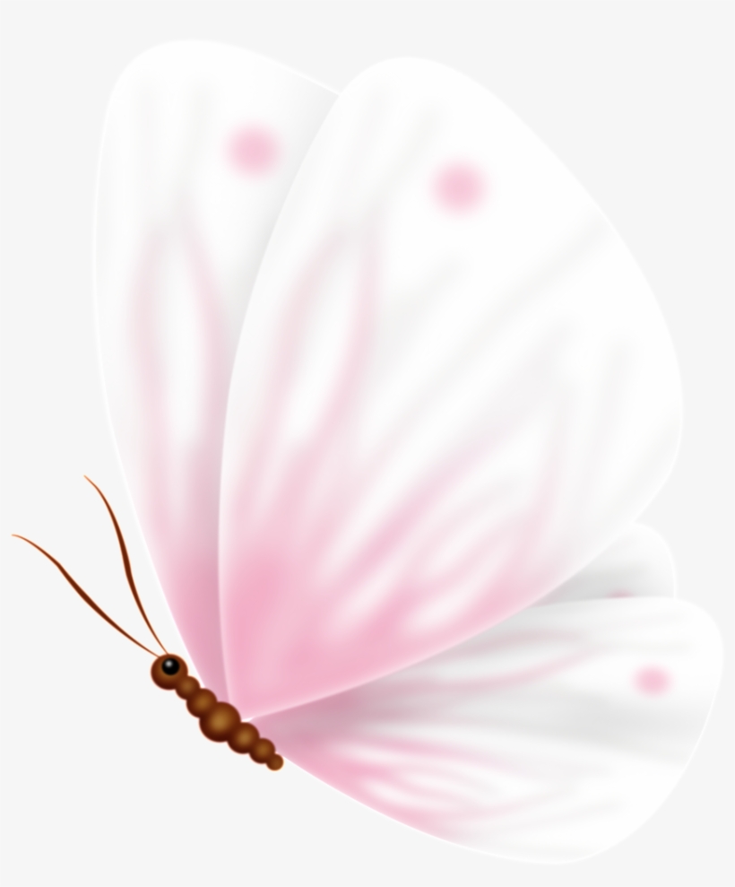 Pink Cute Sweet Butterfly Pass Transparent - Portable Network Graphics, transparent png #3548590