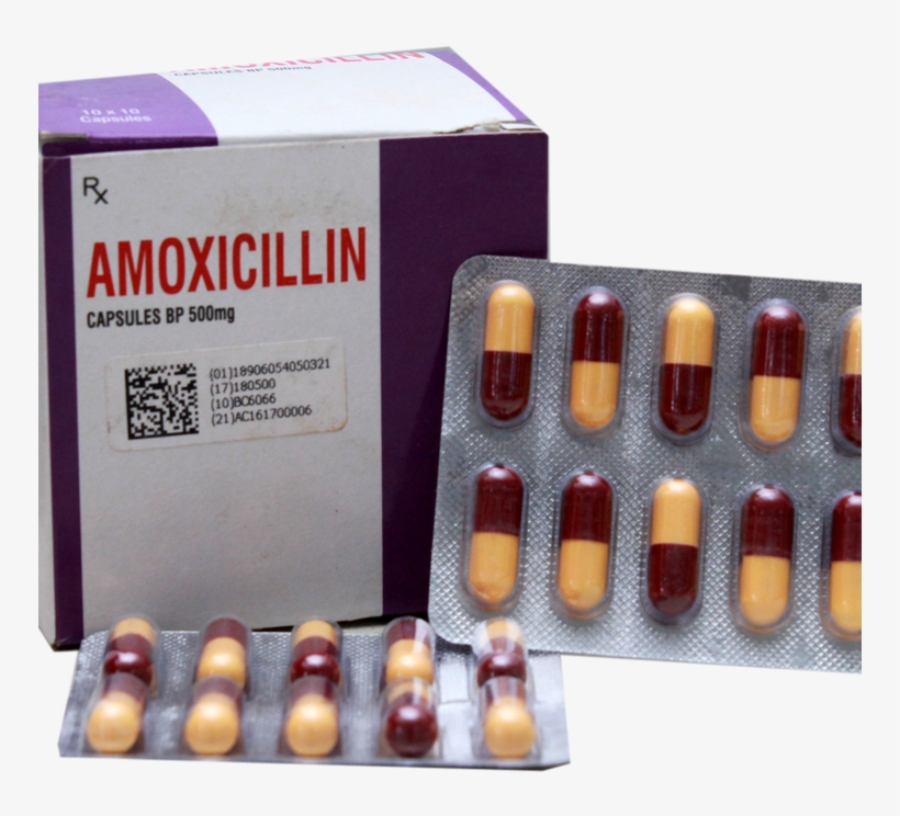 02 Details - Amoxicillin Capsules Bp 500mg, transparent png #3548729