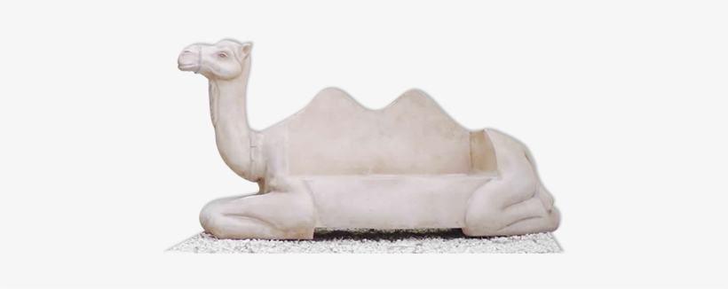 Recent Posts - Arabian Camel, transparent png #3549181