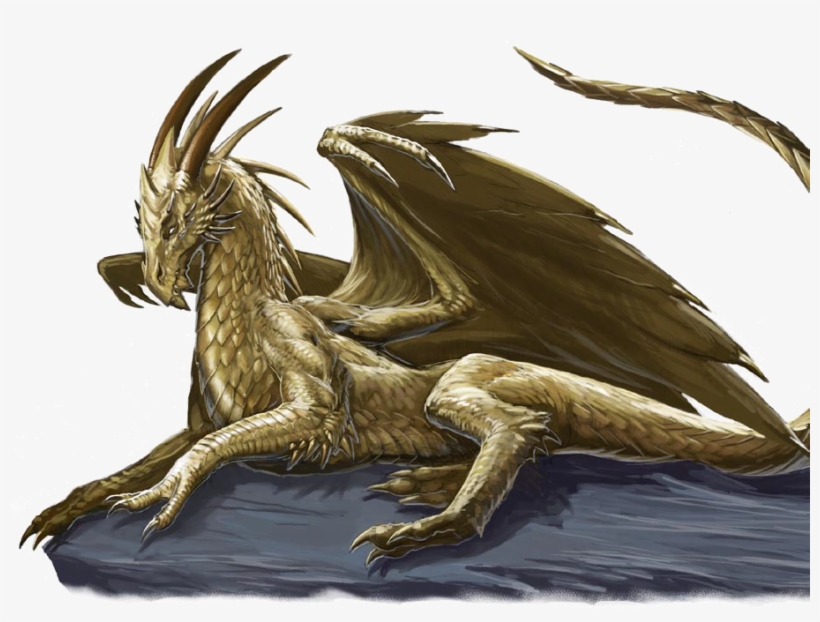 Gold Dragon, Fire Dragon, Dragon Heart, Black Dragon, - Young Gold Dragon, transparent png #3549636