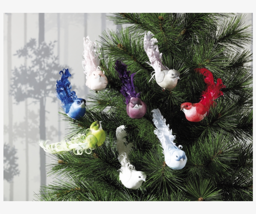 Adornos Navidad - Pajaros, transparent png #3549972