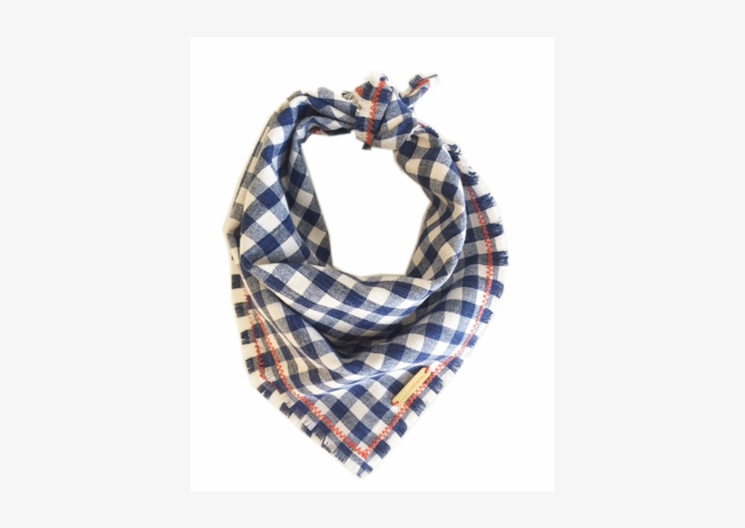 Discontinued Fynn Dog Bandana - Dog, transparent png #3550057