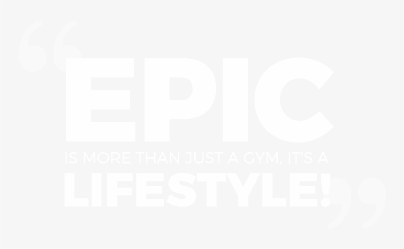 Intro Offer - Decibel Outdoor Festival Logo, transparent png #3551159