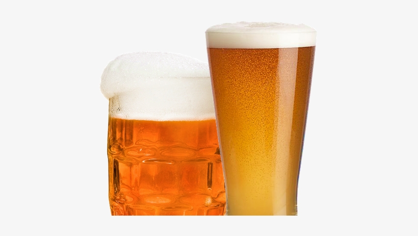 En Las Que Podéis Degustar Junto A Unas Maravillosas - Single Beer Mug: Blank 150 Page Lined Journal For Your, transparent png #3551374