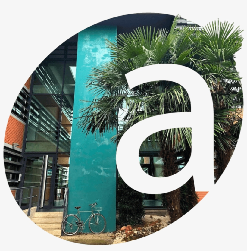 Voice First Interfaces Are Reinventing The Way We Engage - Roystonea, transparent png #3552083