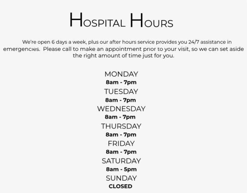 Hours - Malagavet Veterinary Hospital, transparent png #3552474