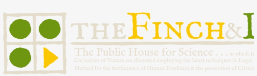 Cropped Cropped Cropped Cropped Copy Of Dunloe Vintage - 3 Beards, transparent png #3552737