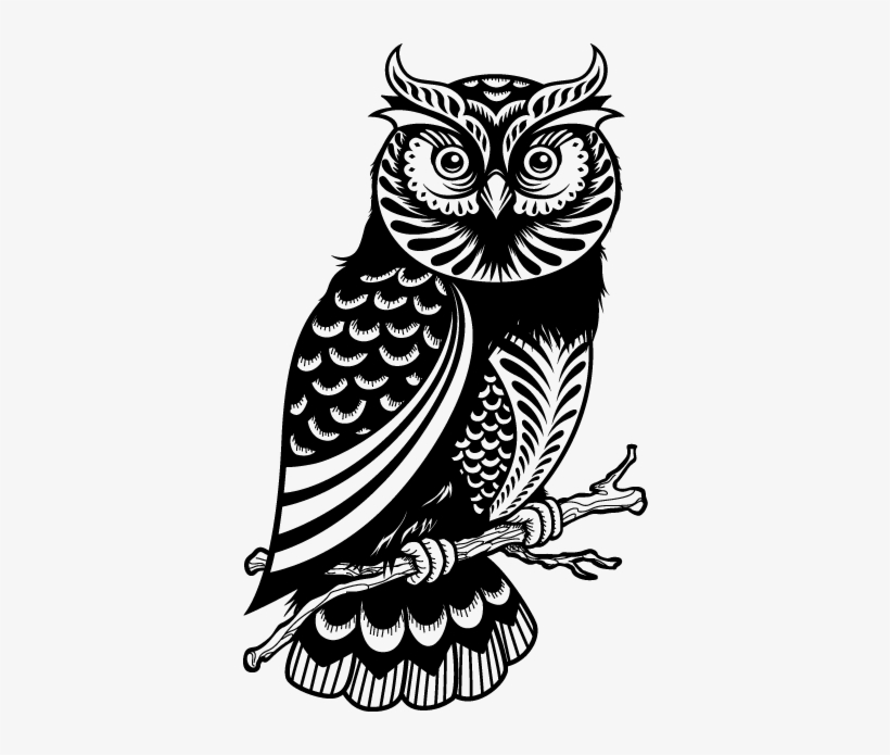 Negro, Blanco, And Buho Image - Owl Drawing, transparent png #3552921