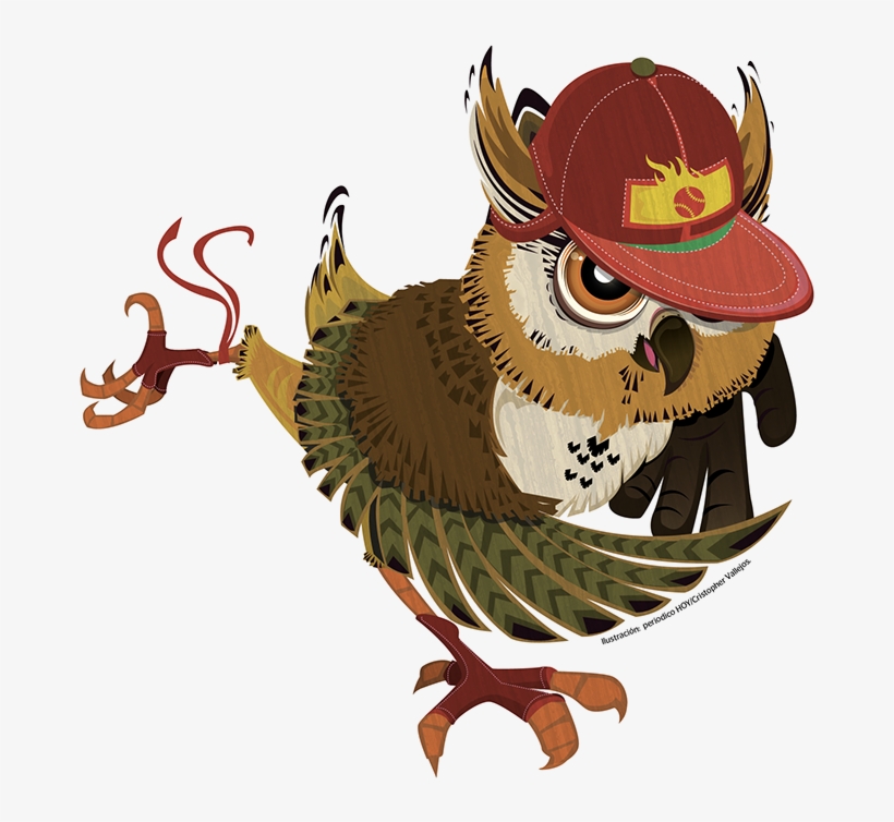 Ilustración Buho - Illustration, transparent png #3553033