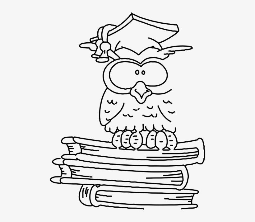 Buhos Pára Colorear, transparent png #3553166