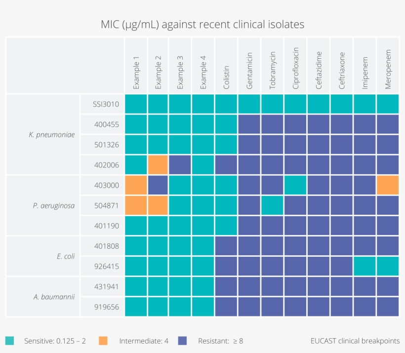 Excellent Activity Of Pem Antibiotic Lead Compounds - Mosaic, transparent png #3553561