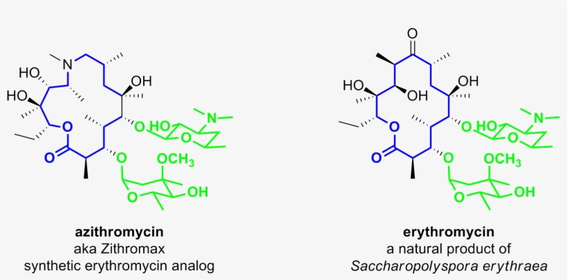 Macrolide-antibiotics - Lactone Ring In Azithromycin, transparent png #3553610