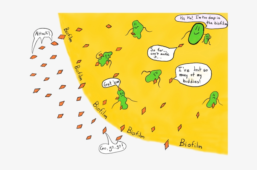 Biofilm Antibiotic Resistance, transparent png #3553652