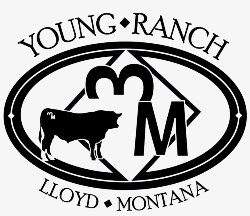 Wome In Ministry: 25 Ways To Impact, transparent png #3554179