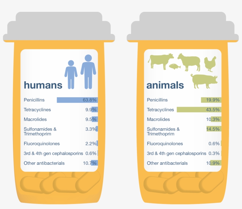 One Health Report, 2015 Using 2013 Data - Antibiotics Used, transparent png #3554342