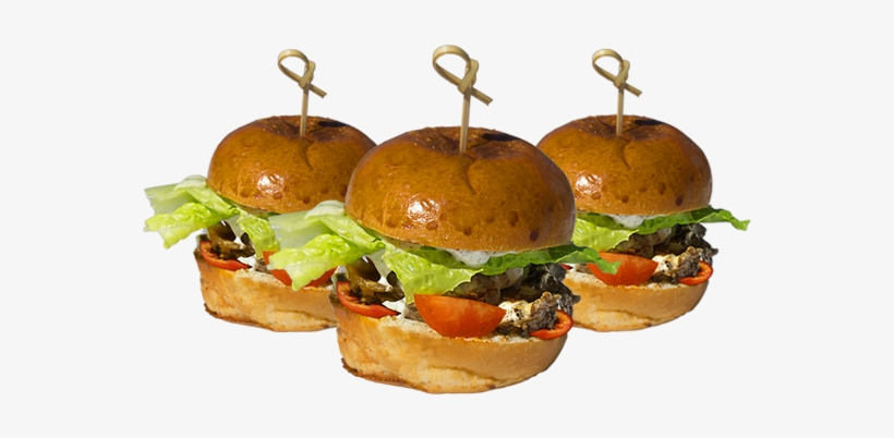 Tri-tip Kaböb/gyrö/chicken Kaböb Or Falafel On A Brioche - Kebab, transparent png #3554451