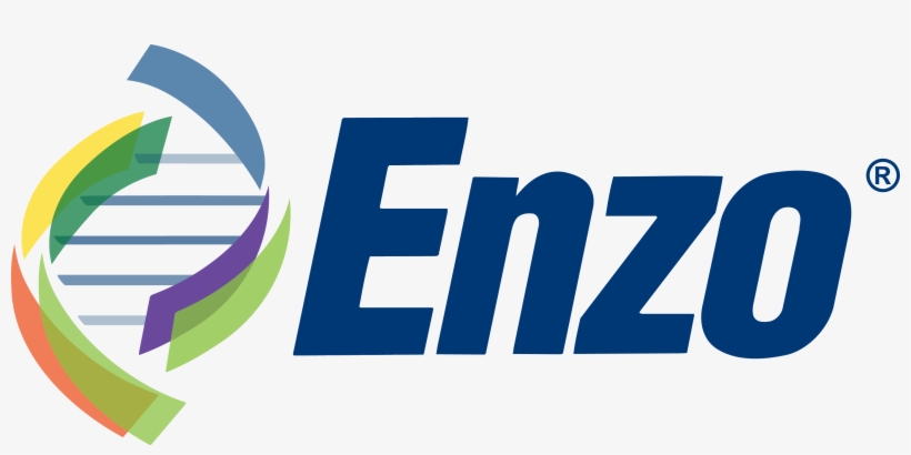 Enzo Logo 2015 - Enzo Life Sciences Logo, transparent png #3554517