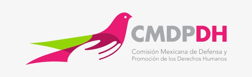 Caso Nadia Alejandra Muciño Márquez - Cmdpdh, transparent png #3554681