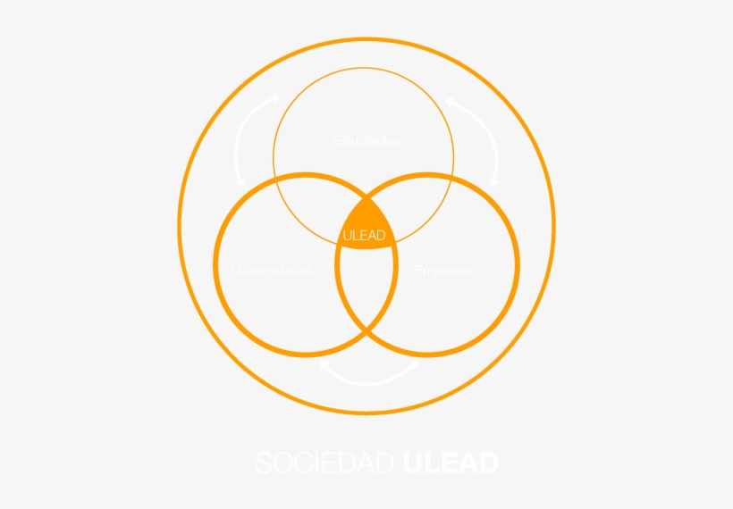 Sociedad Lead - Cd Disc Template, transparent png #3555955