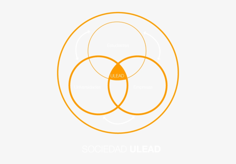 Sociedad Lead - Cd Disc Template, transparent png #3555955