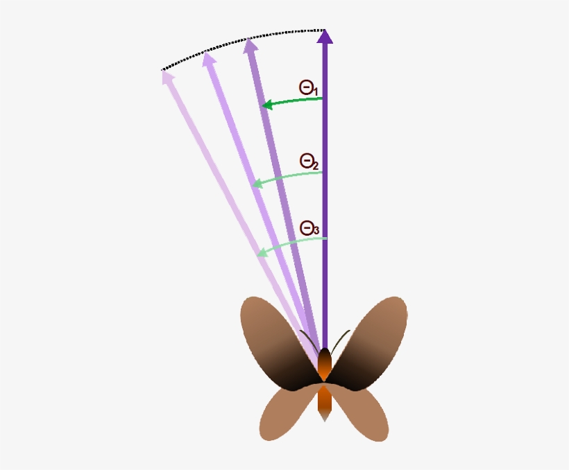Team - Valencia - 2014 - Igem - Org - " - Butterfly, transparent png #3556039