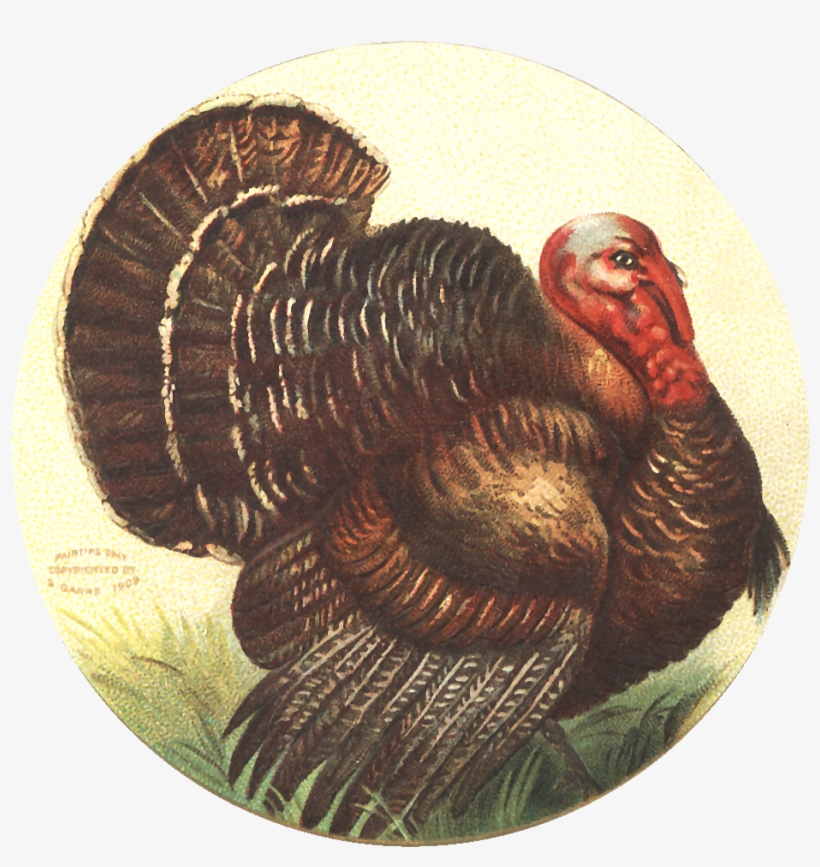 Free Image Friday - Vintage Thanksgiving, transparent png #3557528