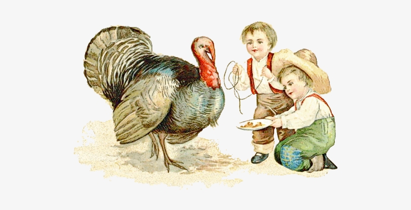 Thanksgiving Turkey - Among The Farmyard People; Paperback; Author - Clara, transparent png #3557571