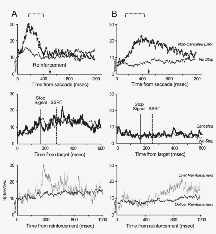 Neurons Exhibiting Phasic And Tonic (b) Error-related - Diagram, transparent png #3558556