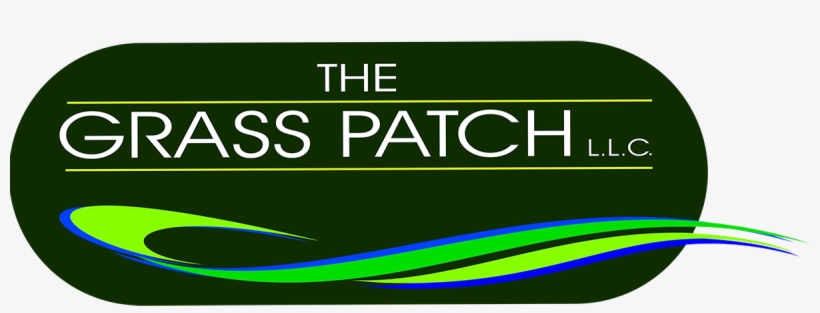 Graphic Design, transparent png #3558656