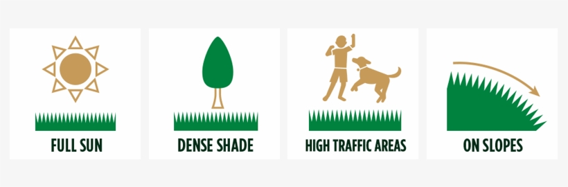 Areas Of Use, transparent png #3558785