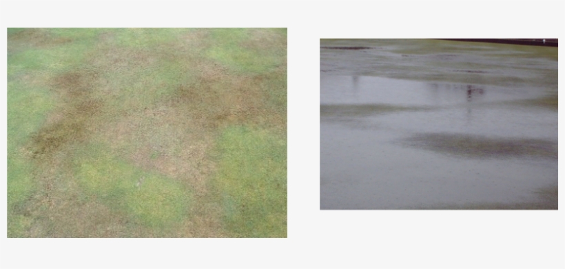 Hydrophobic Turf Leading To Localised Dry Patch - Bowls, transparent png #3558905