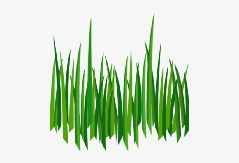 Free Png Grass Png Images Transparent - Cartoon Grass Transparent  Background - Free Transparent PNG Download - PNGkey