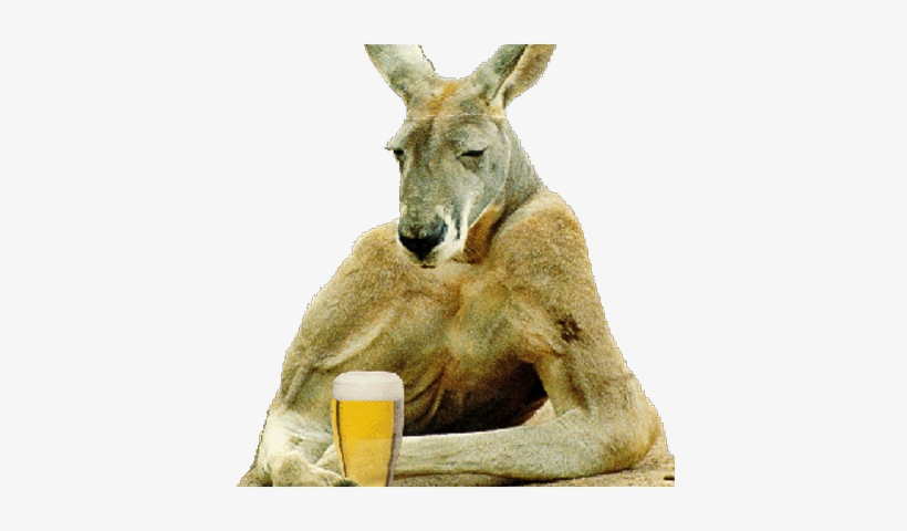 Ausgamespresstrip - Happy New Year Kangaroo, transparent png #3559246
