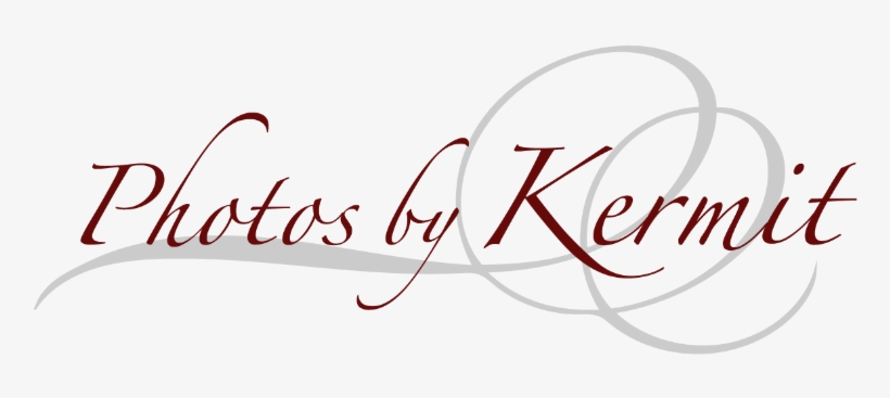 Logo - Rio De Janeiro Png, transparent png #3559859