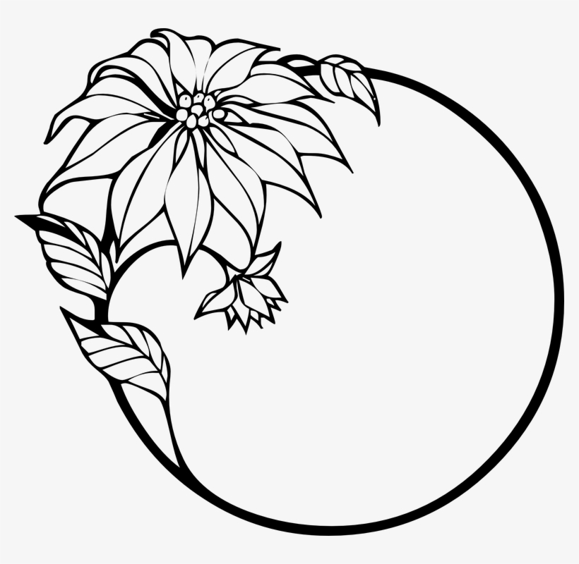 Poinsettia, Christmas, Christmas Flower, Wreath - Flowers Clip Art Black And White Border, transparent png #3559980